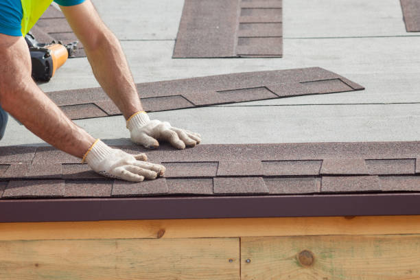 Best Asphalt Shingle Roofing  in Hilltop, MN